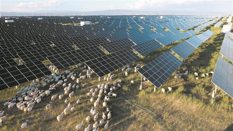 【青藏高原 我們共同守護·青藏聯動報道】塔拉灘上,牧民葉多的“陽光財富”