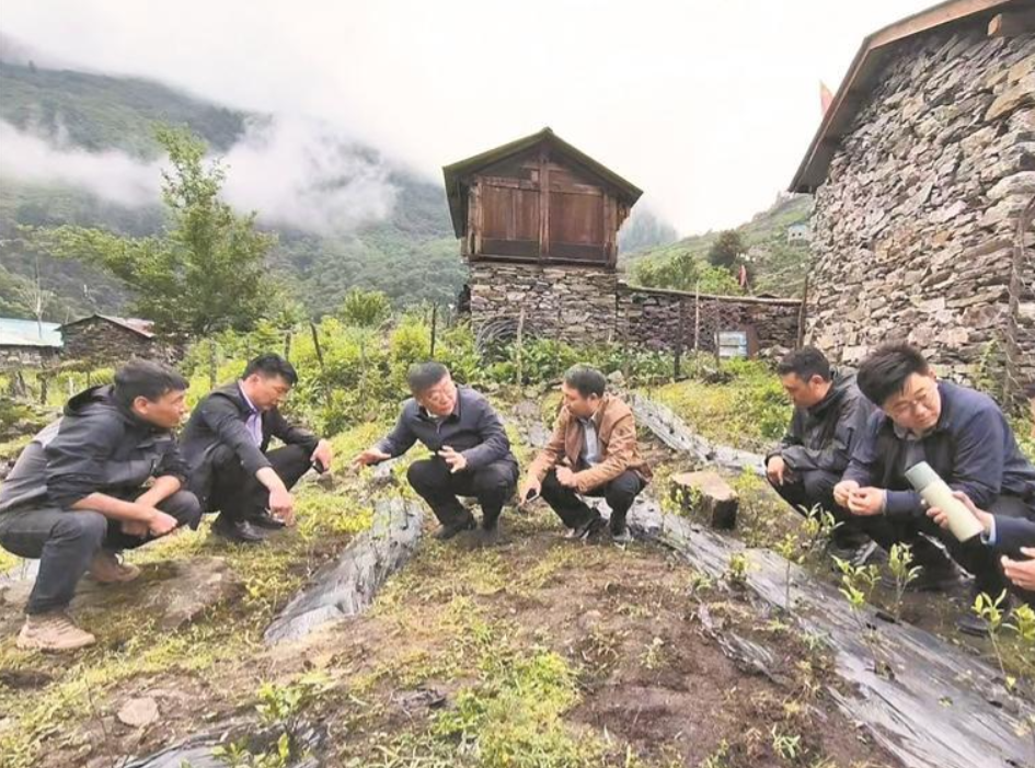 【青藏高原 我們共同守護·青藏聯動報道】茶香彌漫,百姓笑了!