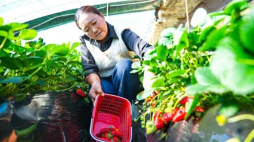 ��M�ļ���������ݮȫ������ӛ